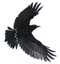 aigle image png