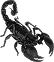 scorpion image png